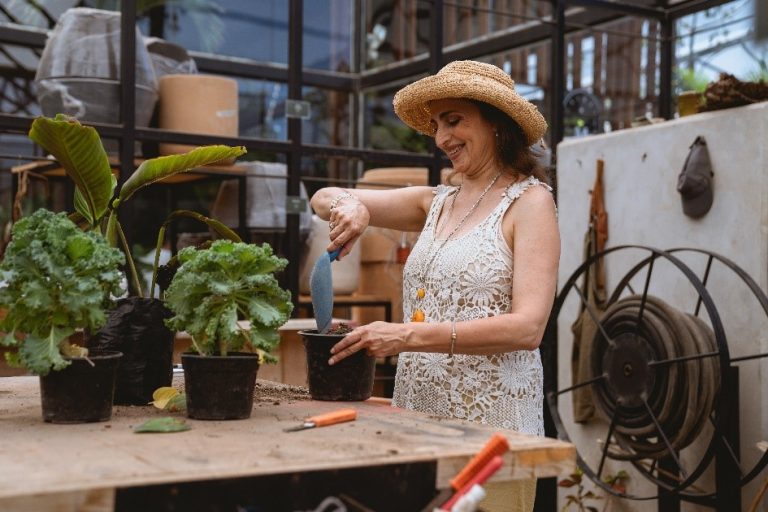 Re-potting Umbrella Trees