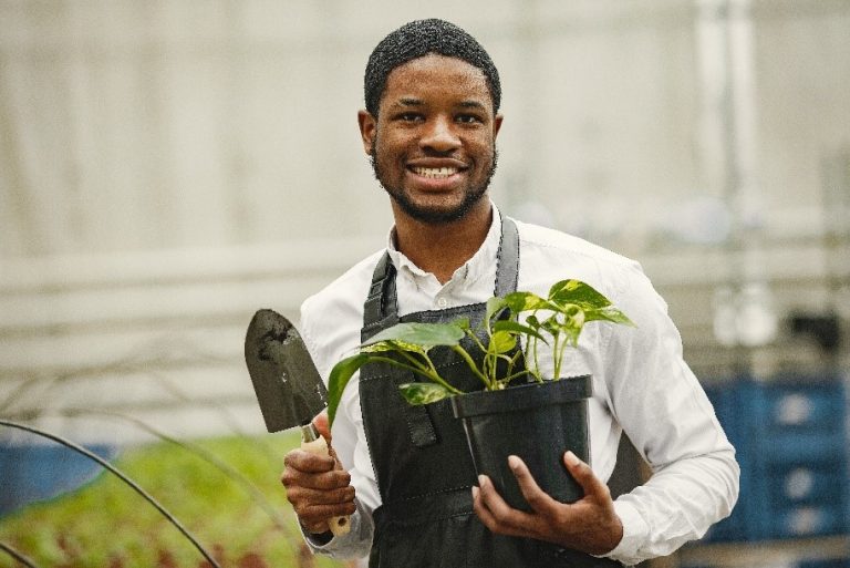 caring for pothos plants